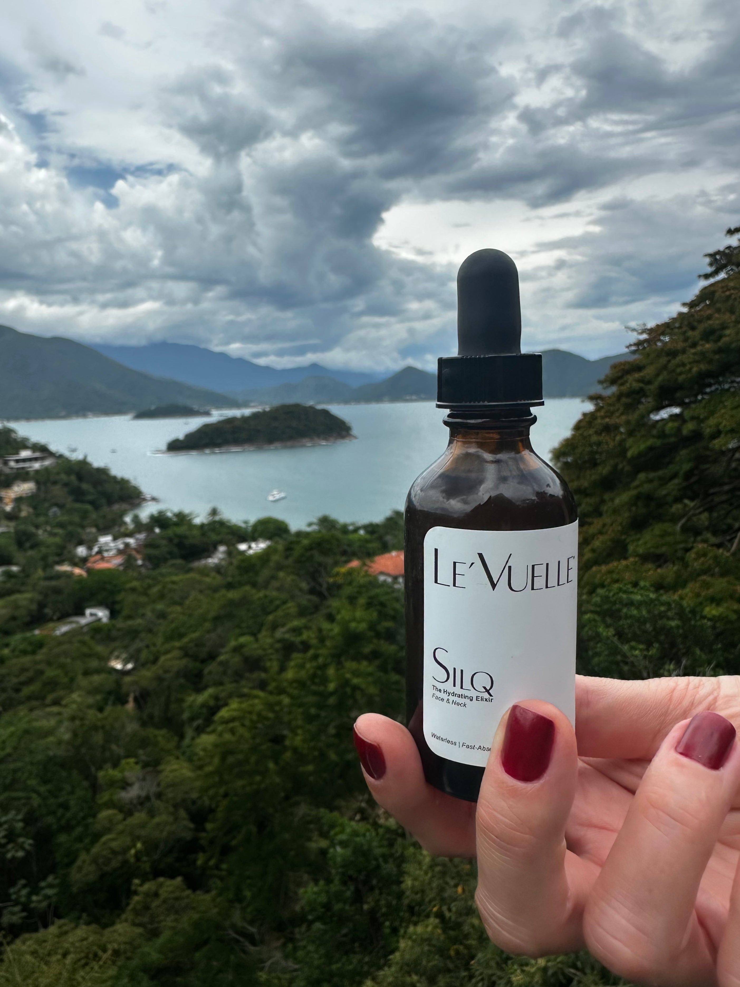 SilQ II — The Essential Dropper Set